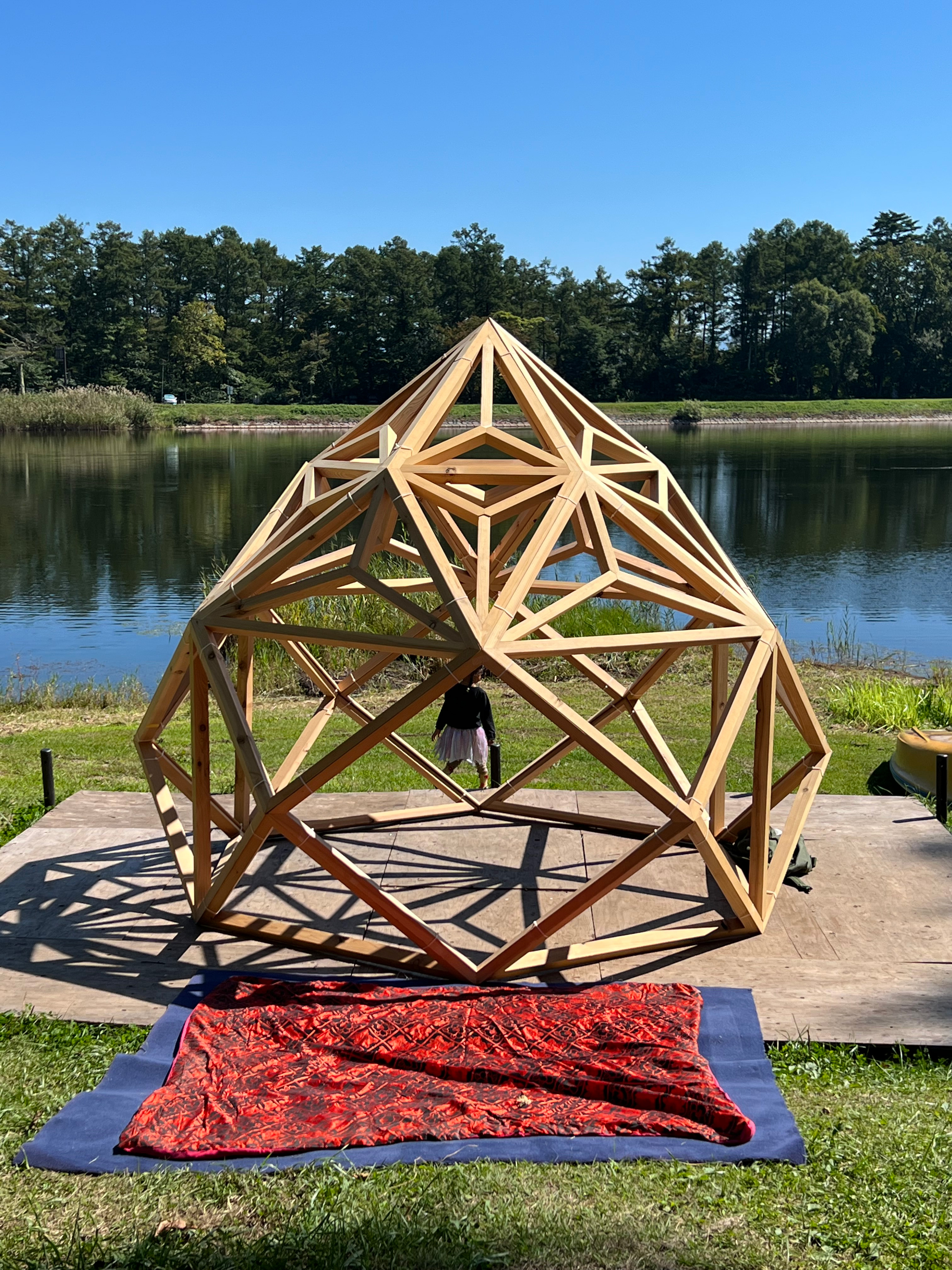Zome建築の木組み